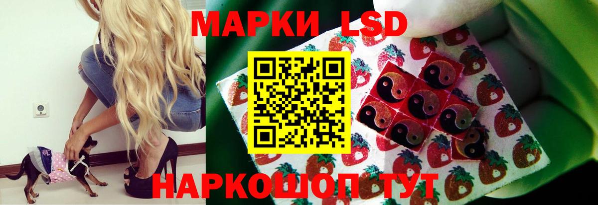 ЛСД экстази ecstasy  Вход с VPN  Алатырь  Лсд 25 экстази кислота 