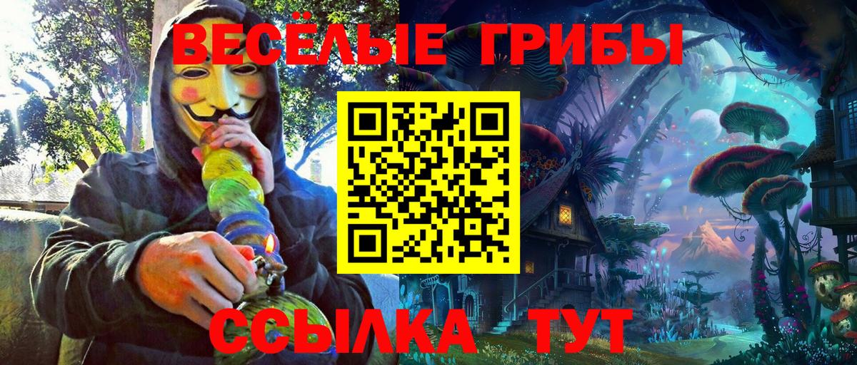 Галлюциногенные грибы MAGIC MUSHROOMS Алатырь