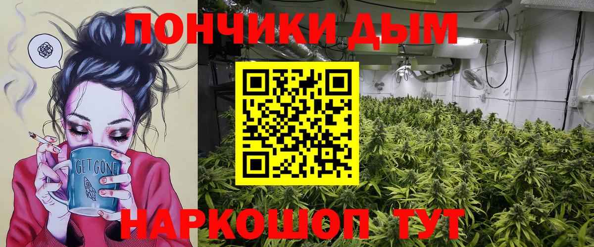 Бошки Шишки конопля  Вход с VPN  Алатырь  Марихуана план 